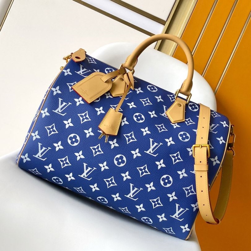LV Travel Bags